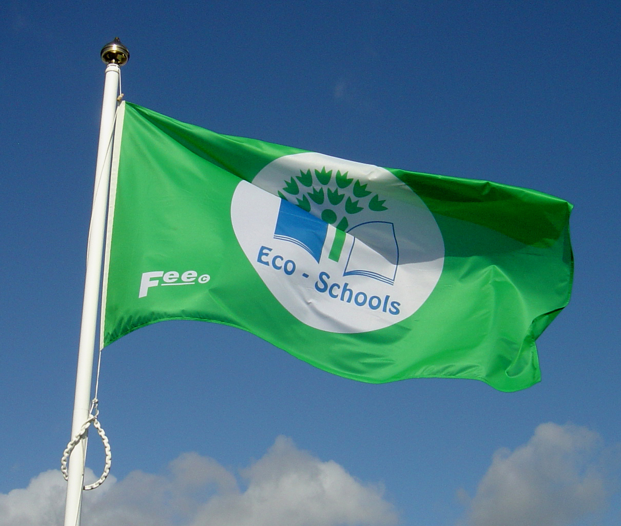 ecoschool_flag