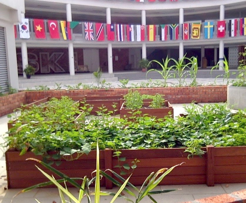 ISKL edible garden project